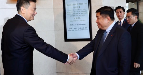 El viceprimer ministro Nguyen Chi Dung recibió al alcalde de la ciudad de Ningbo, provincia de Zhejiang, China.