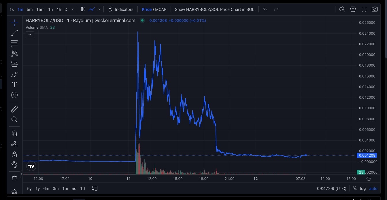 Elon Musk Bitcoin anh 1