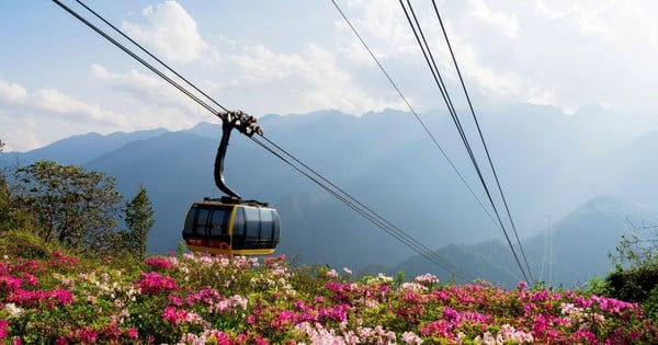 Turismo en Fansipan durante la temporada de azaleas y el festival de las rosas