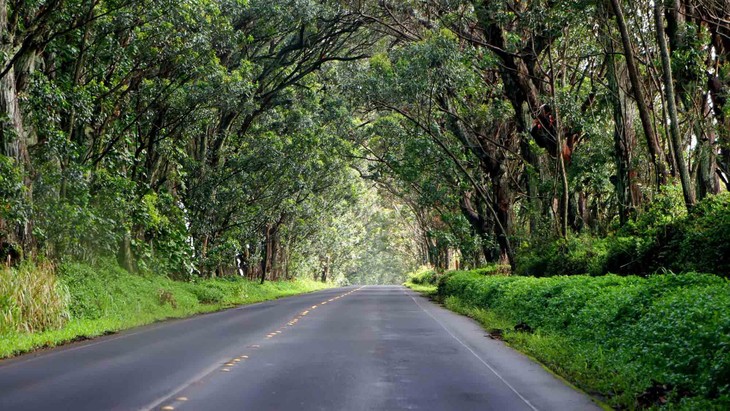 Lanh gay cac dia diem ma am o Hawaii, nguoi den 'ton den gia'-Hinh-7