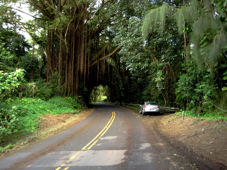 Lanh gay cac dia diem ma am o Hawaii, nguoi den 'ton den gia'-Hinh-13