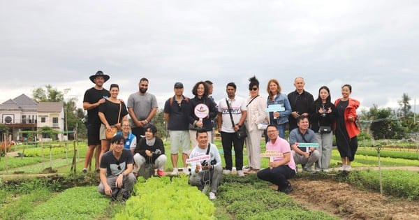 Grupos australianos de viajes de familiarización visitan y exploran el turismo en Quang Nam.