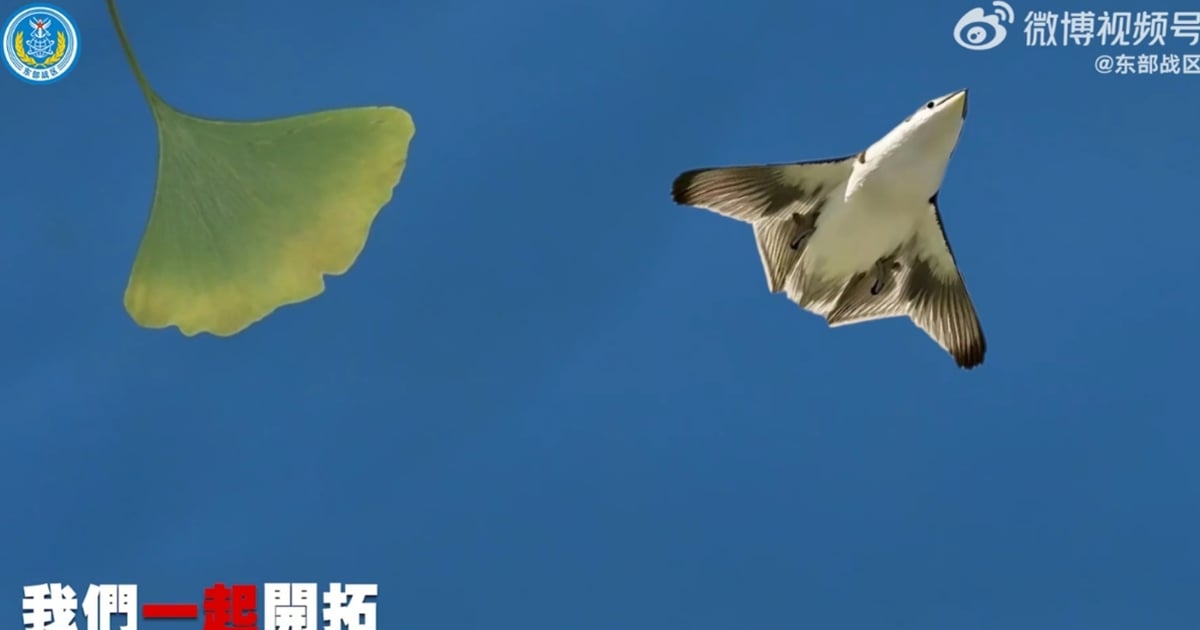 Des images d'un avion de chasse chinois présumé de sixième génération apparaissent