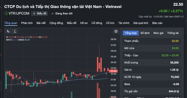 Ms. Nguyen Thuy Tien spent 135 billion VND to buy 6 million Vietravel shares.