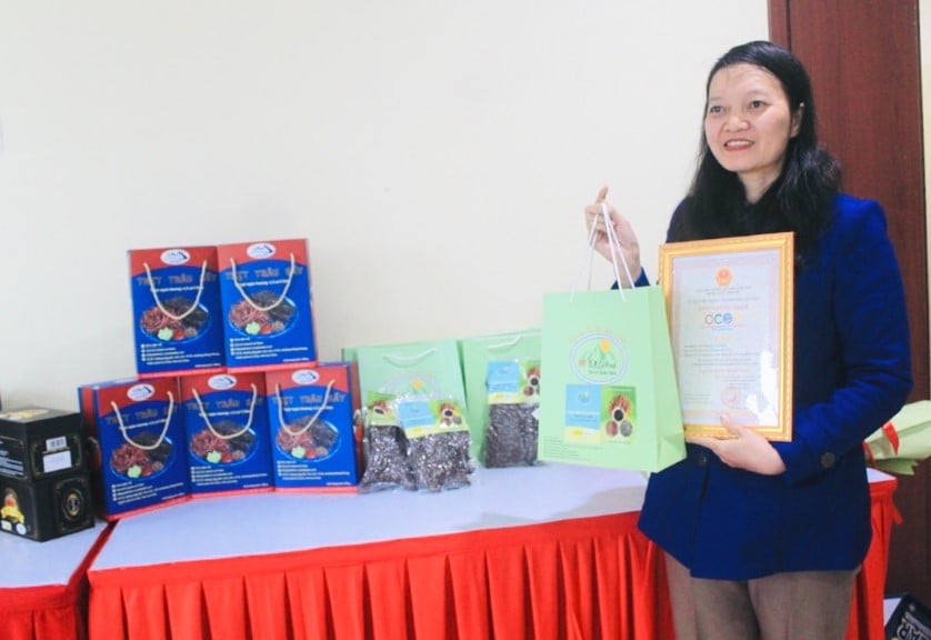 National Brand Week celebrates Vietnam Brand Day April 20