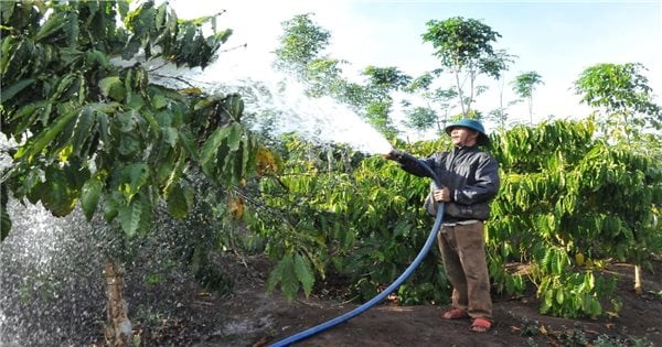 Đăk Nông tìm giải pháp lâu dài ứng phó hạn hán