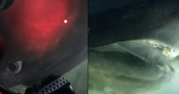 Discovered something scary when putting a camera on the bottom of the sea