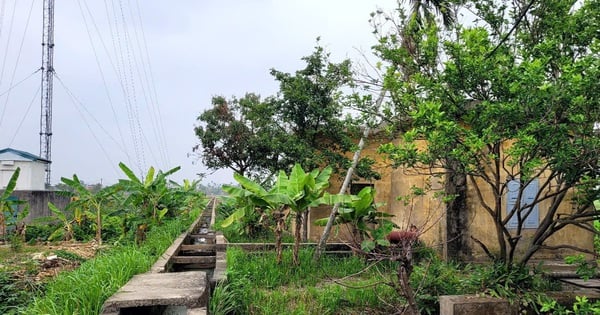 En el distrito de Kien Thuy de Hai Phong, los canales de irrigación están dañados y degradados de esta manera.