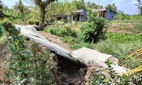 Hunderte Erdrutsche und Absenkungen aufgrund der Dürre in Ca Mau