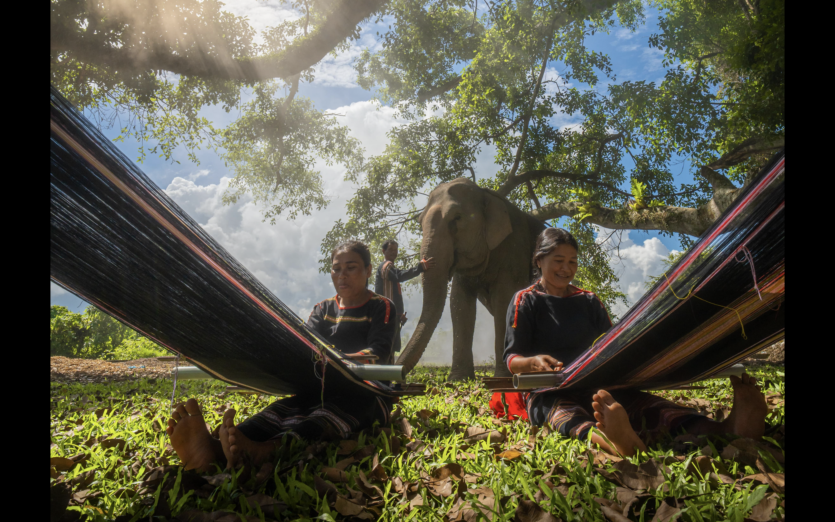 Return to the Central Highlands in the season of bees collecting honey