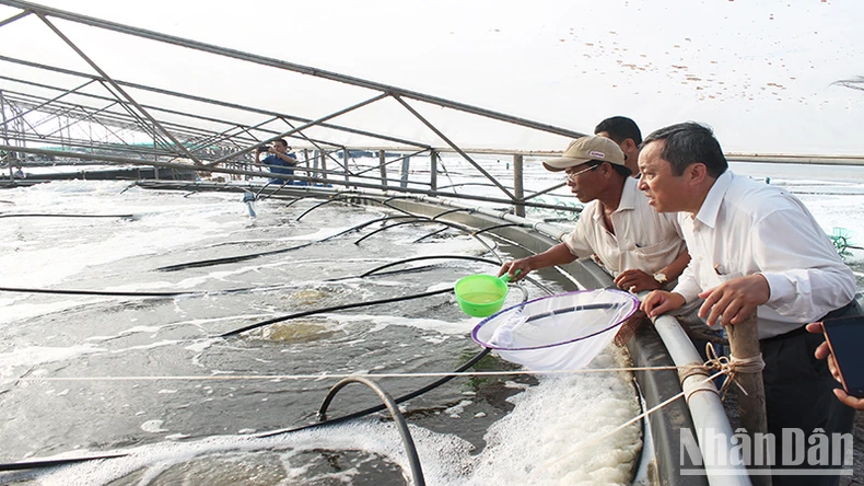 Đưa khoa học-công nghệ khai thác hiệu quả tiềm năng, thế mạnh của Sóc Trăng ảnh 1