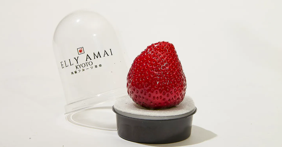 A strawberry costs a 'cutthroat' 500,000 VND, still cheaper than the price of eggs in the US