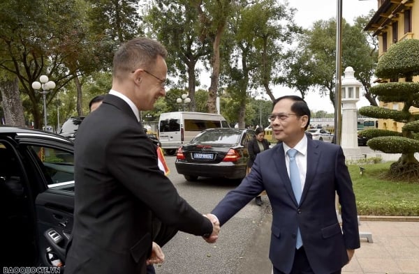 Deputy Prime Minister and Minister of Foreign Affairs Bui Thanh Son welcomed the Minister of Foreign Affairs and Foreign Economic Relations of Hungary.