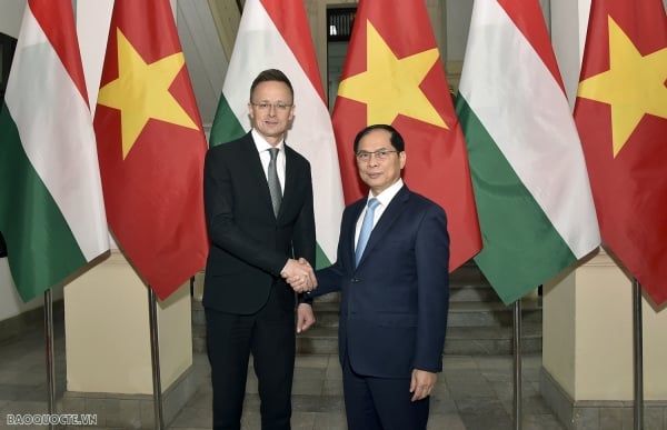 Deputy Prime Minister and Minister of Foreign Affairs Bui Thanh Son held talks with Minister of Foreign Affairs and Foreign Economic Relations Peter Szijjártó