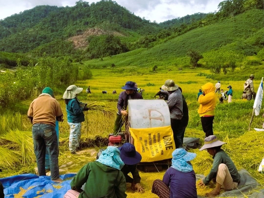 Các mô hình kinh tế tập thể, HTX đóng vai trò quan trọng trong công tác giảm nghèo ở Quảng Nam (Ảnh minh họa). 