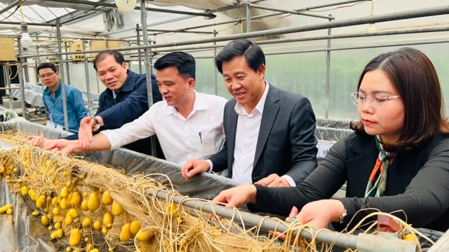 Hanoi reorganizes Agricultural Extension Center