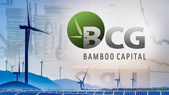 Bamboo Capital có chủ tịch mới- Ảnh 1.