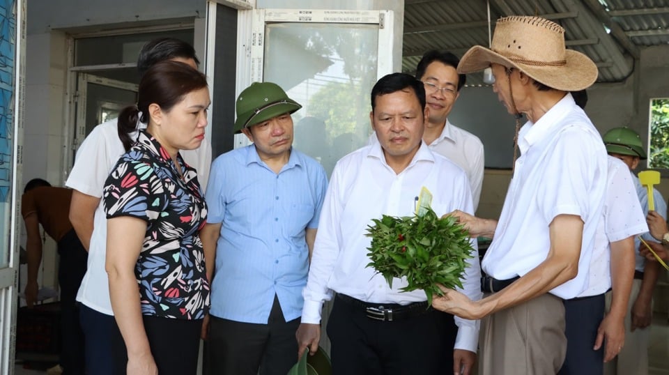 ศูนย์ขยายการเกษตรฮานอยให้การสนับสนุนและร่วมมือสหกรณ์การเกษตรหลายแห่งในเมือง ภาพโดย : อันห์ ง็อก