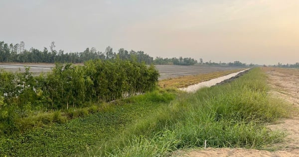 Wann wird die Räumung des Geländes für die Autobahnraststätte in Hau Giang abgeschlossen sein?