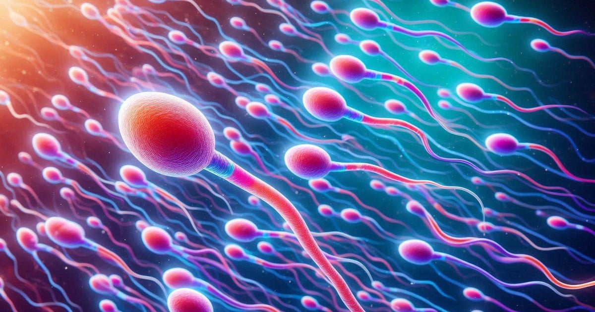 Discovering the relationship between sperm quality and longevity in men