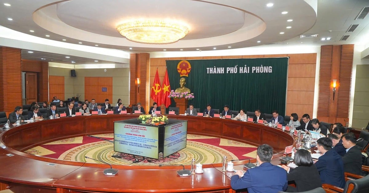 Hai Phong: Exchanging experiences in developing economic zones and free trade zones