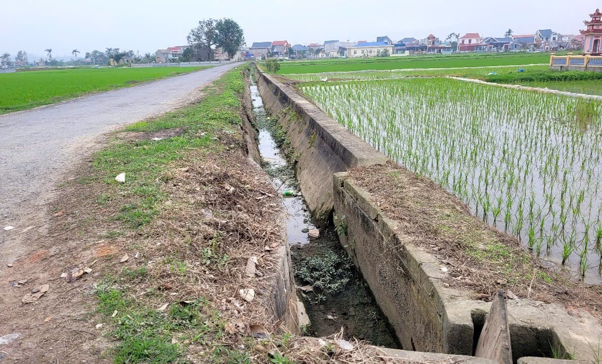 Hệ thống kênh mương thủy lợi ở Kiến Thụy, Hải Phòng không bảo đảm dẫn nước phục vụ sản xuất nông nghiệp- Ảnh 1.