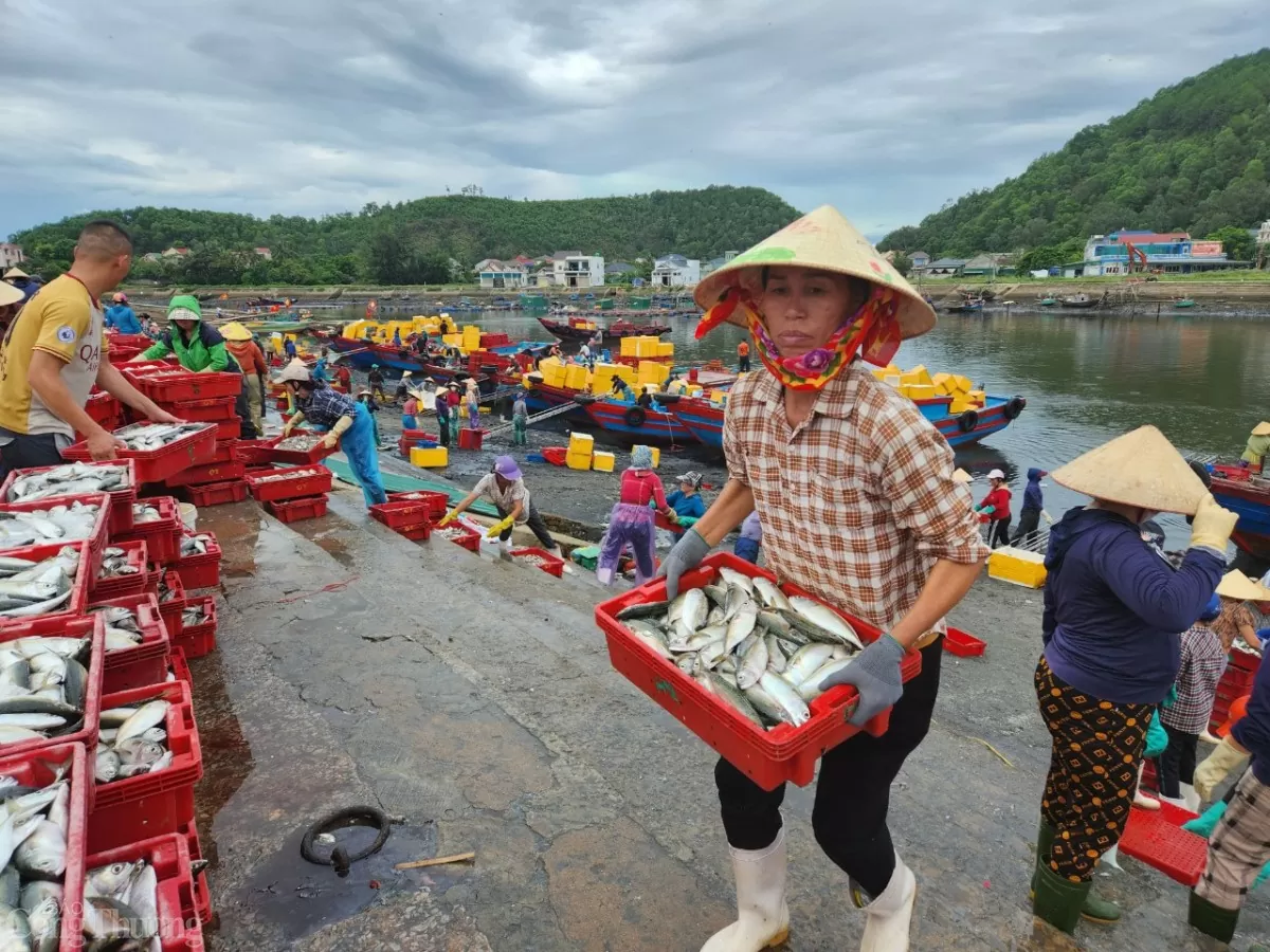 Kinh tế biển đã góp phần vào phát triển kinh tế xã hội