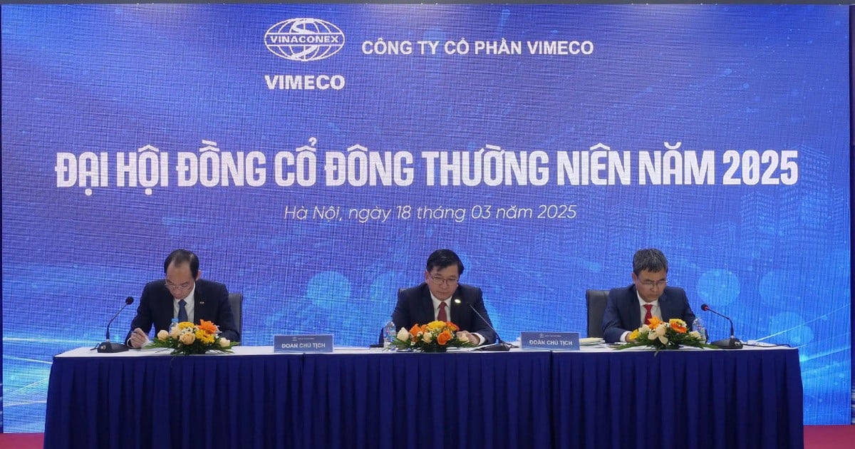 ĐHĐCĐ Vimeco: Không đánh mất thế mạnh khi Vinaconex thoái vốn