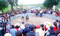 Juegos folclóricos únicos y competencia de tambores en el Templo Gam - Festival de las Pagodas