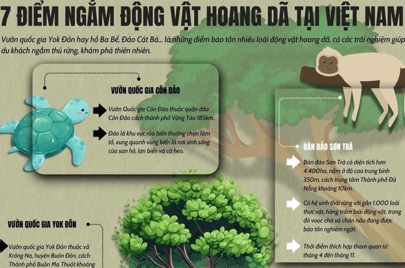 7 Orte zur Wildtierbeobachtung in Vietnam