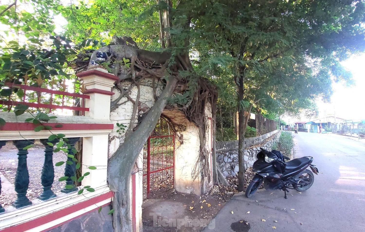 Raíces únicas de un árbol baniano que abrazan dos puertas de una casa comunal de 200 años de antigüedad en Binh Duong (foto 2)