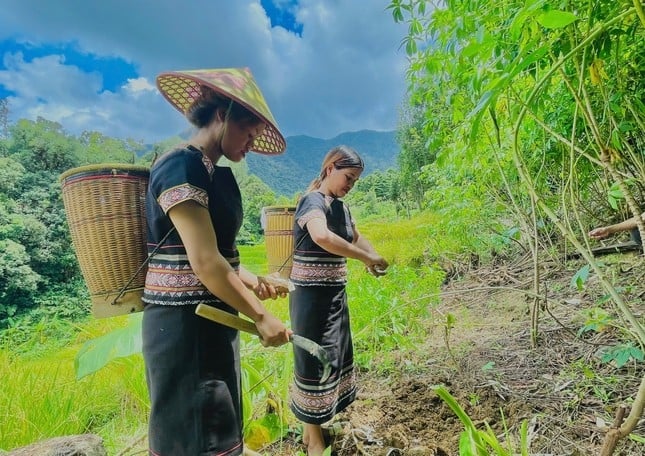 Người Xơ đăng sở hữu phương thức bí truyền để tạo ra thỏi sắt chất lượng cao để làm dụng cụ lao động