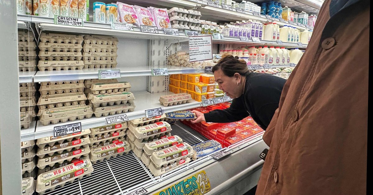 Severe egg shortage, US 'calls for help' from Germany and Italy