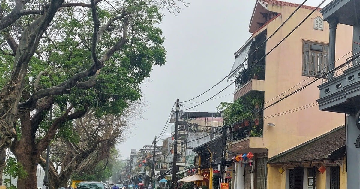 Ciudad de Hue: Preservación y promoción del valor de la antigua ciudad de Gia Hoi