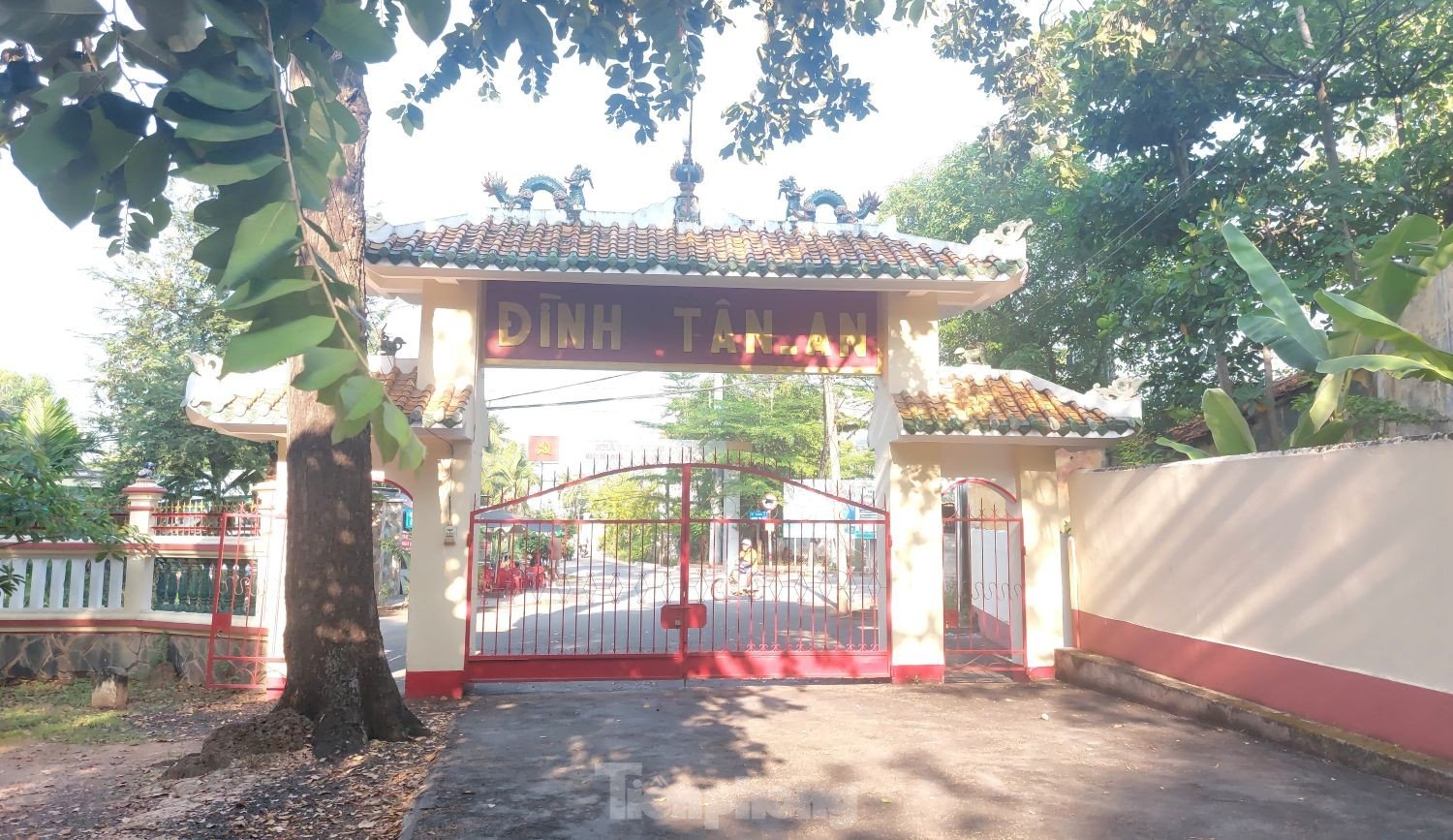 Raíces únicas de un árbol baniano que abrazan dos puertas de una casa comunal de 200 años de antigüedad en Binh Duong (foto 1)