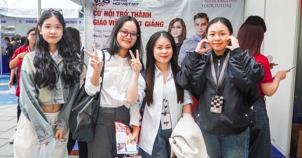 Final year students "hunt" for jobs at recruitment fairs