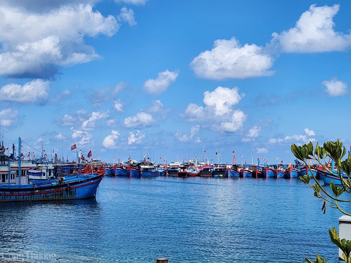 Perspective de l'économie maritime