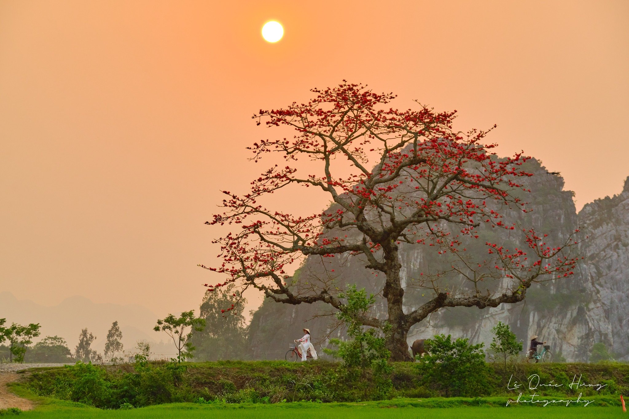 Mùa hoa thắp lửa