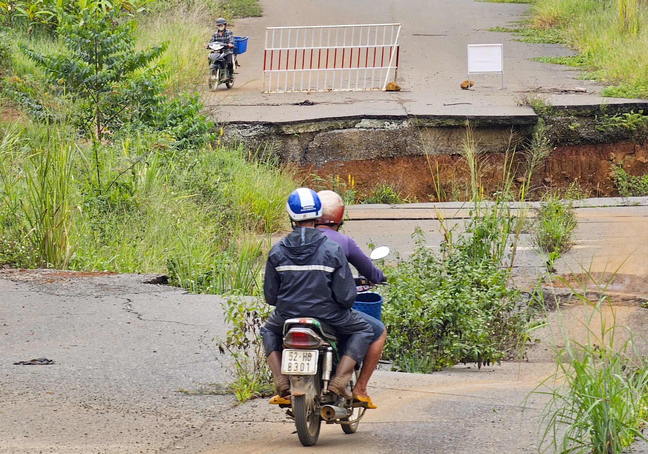 “Hồi sinh