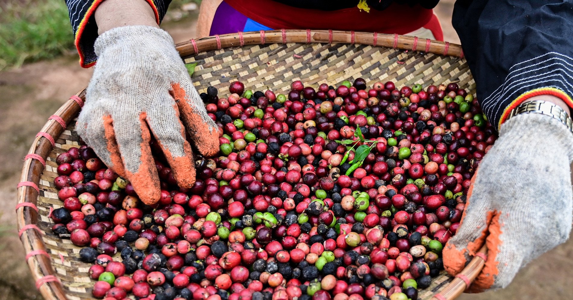 La Chine dépense discrètement d'énormes sommes d'argent pour acheter un produit vietnamien à un prix élevé