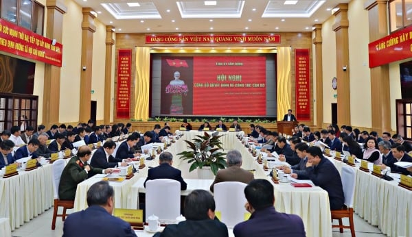 Plan to handle some issues related to the reorganization of the State apparatus in Lam Dong province