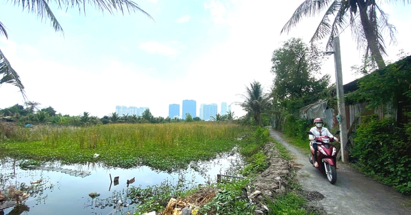 Image of Binh Quoi peninsula