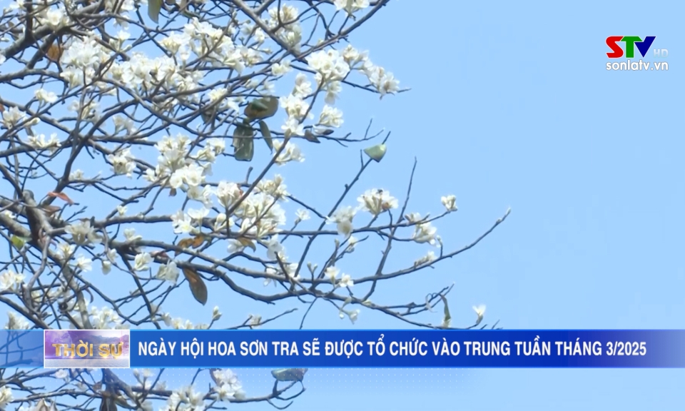 Ngày hội hoa Sơn tra sẽ được tổ chức vào trung tuần tháng 3/2025