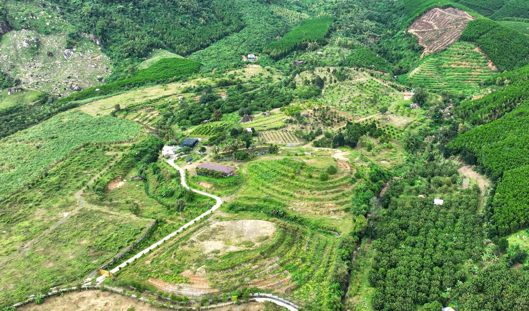 An organic, circular fruit garden in Khanh Vinh.