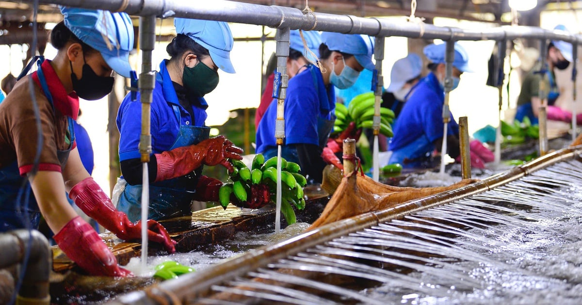 Sân chơi bình đẳng cho doanh nghiệp tư nhân