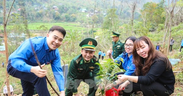 Modelo de vida de cultivo de árboles con hojas floridas para la población de la zona fronteriza de Nghe An