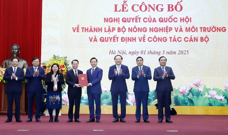 Deputy Prime Minister Tran Hong Ha presents appointment decisions to Minister of Agriculture and Environment Do Duc Duy and Deputy Ministers - Photo: VGP/Cuc Huong