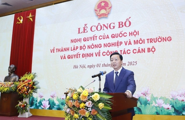 Deputy Prime Minister Tran Hong Ha: The Ministry of Agriculture and Environment needs to propose innovative and breakthrough issues, turning thinking into scientific action - Photo: VGP/Dinh Nam