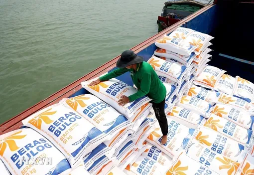 Rice export prices edge up slightly thanks to improved purchasing activity