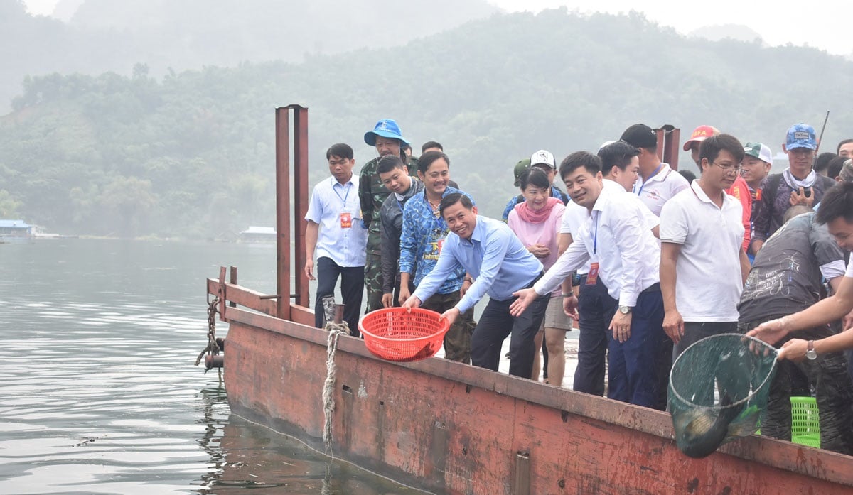 Hòa Bình tái tạo nguồn lợi thủy sản trên vùng lòng hồ Hòa Bình - Ảnh 2.